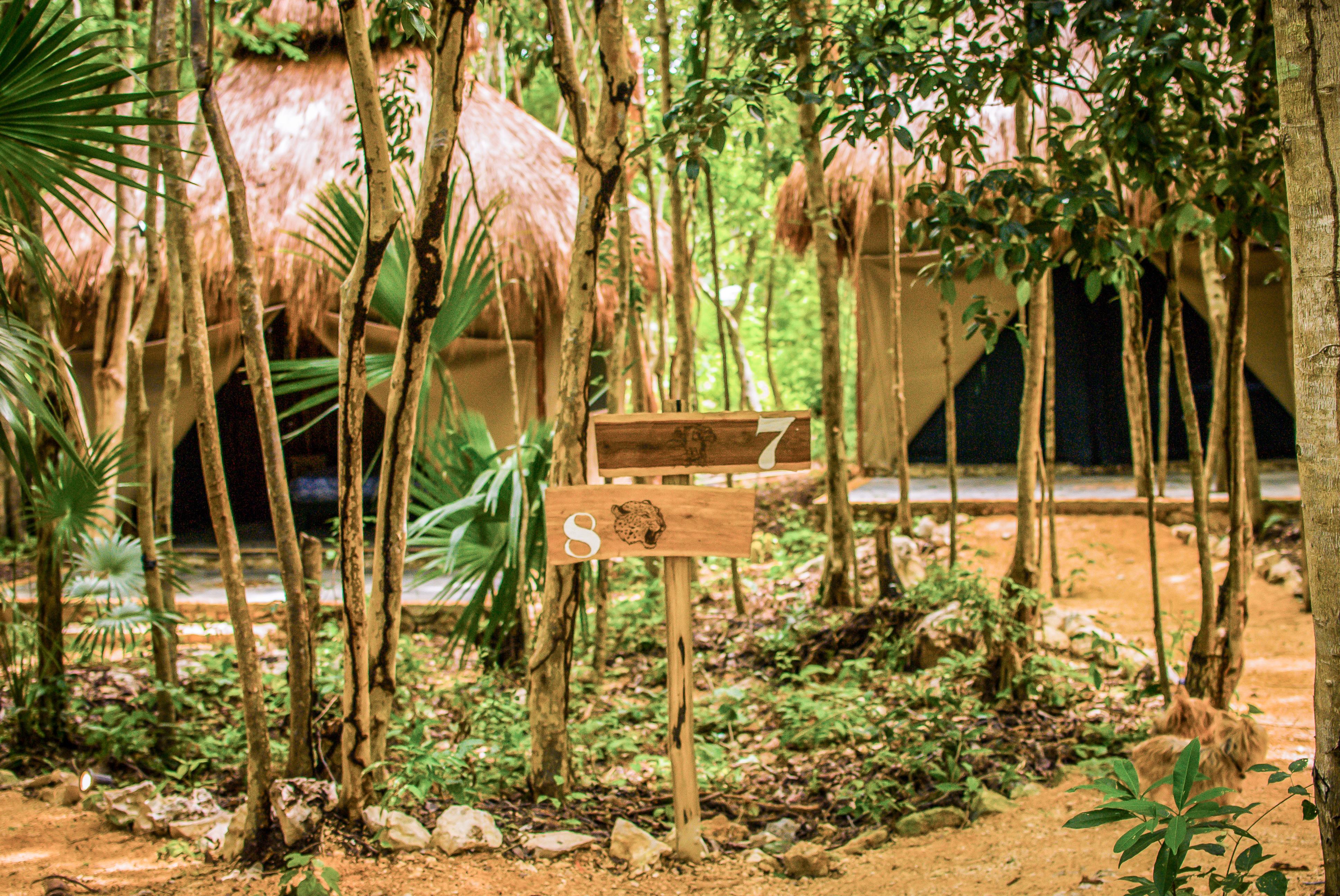 Akumal Natura Glamping מראה חיצוני תמונה